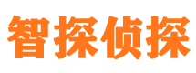 洛川市侦探